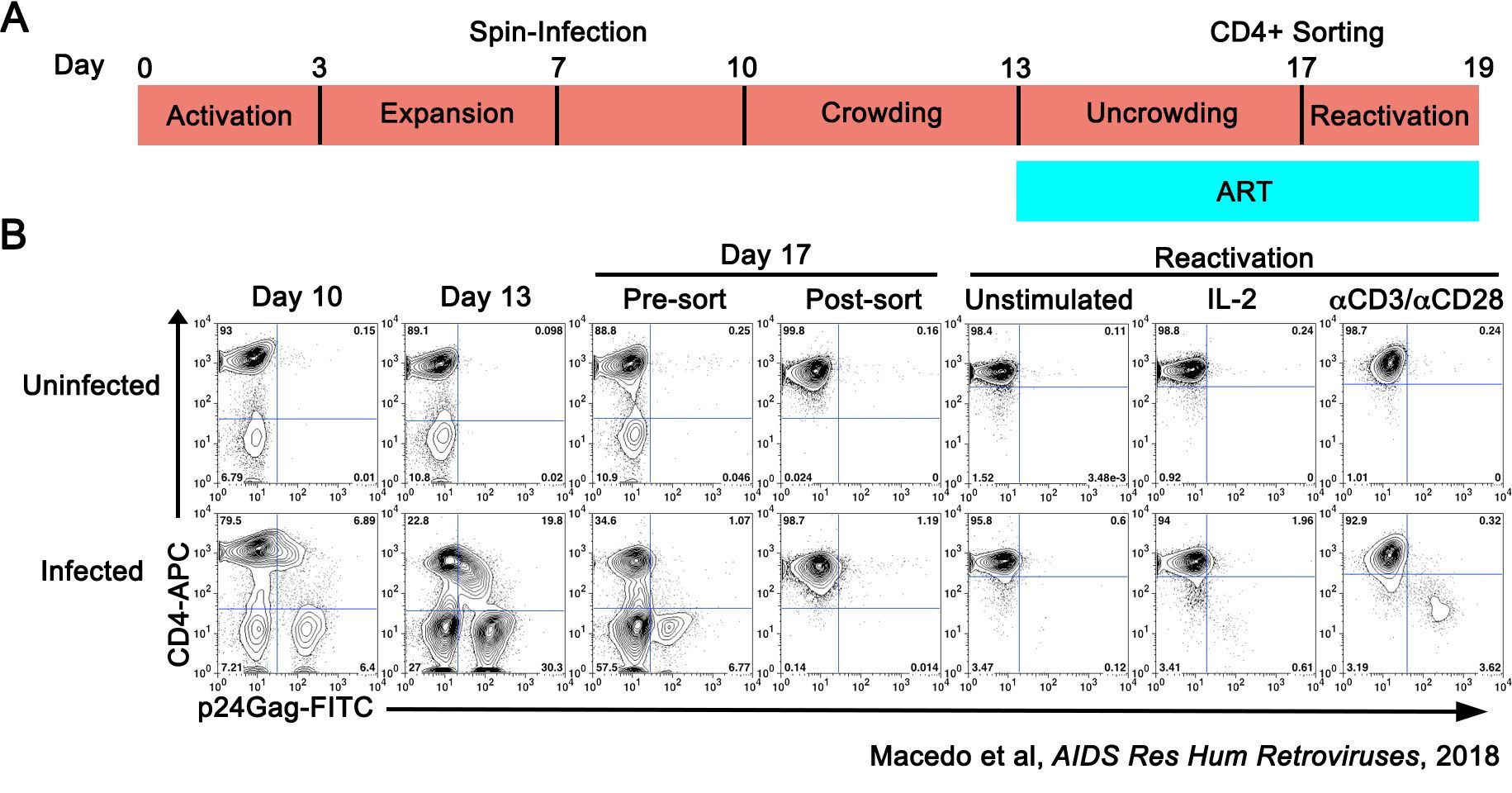 Developing primary cell models of HIV latency